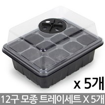 모종 트레이 12구 10장 - 모종판 포트 묘목 모판 화분모종 트레이 세트 육묘 하우스 모종박스 씨앗 발아기 발아 받침 진열대 어린이, 01_Sein_모종트레이세트(12구)X5개