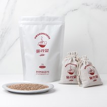 올라잍 천연화공석 반영구 탈취제 제습제 냄새제거 화공석 올라잍 제습탈취제, 2KG+주머니S10개