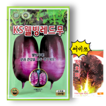 KS웰빙레드무 100립 300립 23년포장 자색무씨앗, 1개