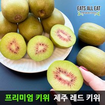 이츠올릿 제주 레드 키위 5kg 점보