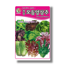 제일종묘 모듬양상추 씨앗 1500립 /22년포장