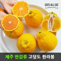 이츠올릿 제주 고당도 한라봉 5kg (선물용 특대8-14과) 제주도 하우스 귤 택배 선물 세트