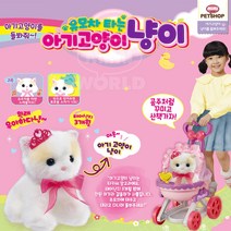 미미펫샵 유모차 타는 아기 고양이 & 강아지, 고양이 냥이