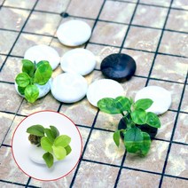 수초-하얀바둑알 미니 골든나나활착-작고 귀여운 어항꾸미기, 없음