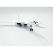 비행기모형 블랙잭 죽음의 백조 Ukrainian Air Force Tupolev TU-160 Blackjack/White Swan [1/200]