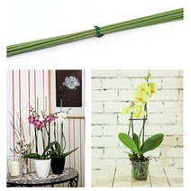 마이플랜트 식물 지지대 지주대3mm_60cm(25개), 25개