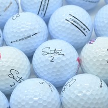 세인트나인 화이트 A- 등급 10알 골프SHOP용 로스트볼