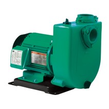 윌로펌프 PU-3000I 4마력 지에스펌프 농수용 농공업용 공업용 양수기 50mm 3상 380V (PU-3000I)