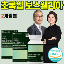 초록입 초록잎 보스웰리아 보이스 보수 웰릭산 웰리스 웰리아 웰리아나 라이신 메티오닌 오메가3 글루코사민 셀레늄 리프리놀 우슬 치커리 추출분말 간편 섭취 중년 여성 남성 허리 무릎, 2개