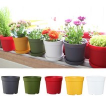 세경팜 컬러베이직 플라스틱 화분 받침세트, 레드(3호)