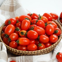 [GAP인증] 당일수확 달콤한 스테비아 대추 방울토마토, 스테비아 대추 방울토마토 1kg(500g*2팩)