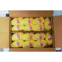고당도 태국망고 항공직송 프리미엄 수입과일 과일선물세트 1.5KG 2.5KG 5KG, 태국망고 1.5kg