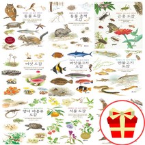 세밀화로 그린 보리 어린이 도감 시리즈 책 동물 흔적 갯벌 곤충 나무 민물 바닷 물고기 버섯 새 식물 양서류 파충류, 버섯 도감