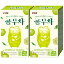 담터 콤부차 샤인머스캣 10T+10T