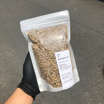 [넛츠팜해바라기씨] 새사료 새모이 새먹이 곡물 해바라기씨, 1kg