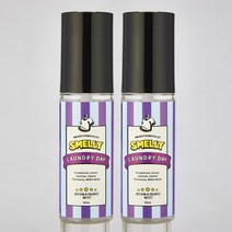 스멜리(SMELLY) 실내&섬유용 룸앤패브릭 탈취제 방향제 60ml 5종 택1 x 2병, 런드리데이