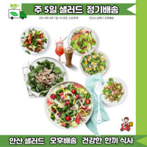안산샐러드정기배송 2주 10일 매일배송 [ 안산샐러드 배달 ], 17~18시, C