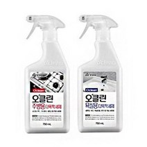 욕실 욕조 주방 후드 찌든때 다목적 만능 세제, 주방용세정제750ml, 750ml