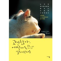 괜찮아 어떻게든 살아간다옹:노자와 길고양이에게 배우는 인문학 사진에세이, 미디어샘