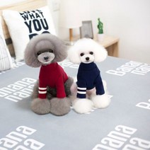 런웨이멍멍 투라인목폴라 강아지 목폴라티셔츠 댕댕이 데일리룩 투라인 목폴라티, 핑크, 2XL