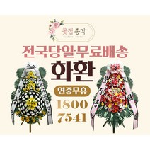 강서구꽃배달 구매가이드