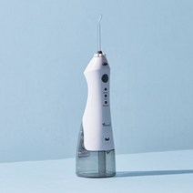 덴탈픽 휴대용 구강세정기 DP-1300G - 구강세척기 물치실