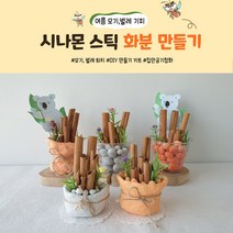 시나몬 스틱 화분 만들기 (DIY유아만들기키트 어린이집여름행사 유아교구 계피방향제), 대리석