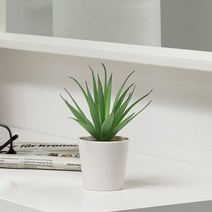 1+1 이케아 FEJKA 페이카 인조 다육 식물 화분 6cm 1P, 1+1)2개