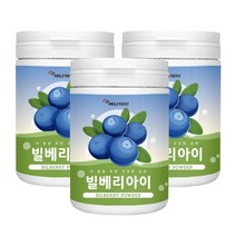에너데이 빌베리농축분말 빌베리아이 230gx3통 건강분말 슈퍼푸드 블루베리맛