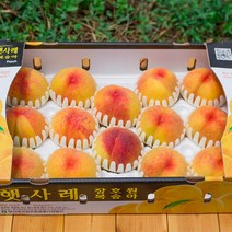 이천 장호원햇사레복숭아 2kg 3kg 감곡 딱딱이 말랑이복숭아 이시도로농원, 1박스, 황도복숭아3kg 8과