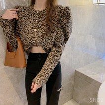 봄가을 여성 호피 숏 셔츠 블라우스