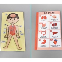 우리 몸 속 여행 1인/과학 실험 키트 교구 도구 만들기