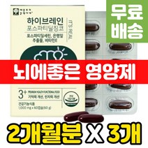 뇌에좋은 머리 영양제 가억력좋아지는법 징코 음식 추천 노인 인지력 개선 혈행 혈액 순환 개선제 PS 뇌 건강 기억력 은행잎추출물 대두레시틴 수험생 공시생 포스파티딜세린 포스타딜세린