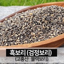 진도장모와서울큰사위 검정보리쌀 흑보리 블랙보리 햅곡, 1개, 2kg
