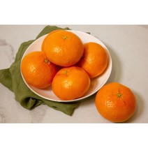 [책임보상제] 23년 고당도 제주 황금향 천혜향 레드향 가정용 선물세트, 천혜향 5kg/ 소과 / 31-40과 내외