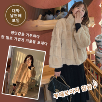 여성 밍크퍼코트 인조밍크자켓 여성 겨울 쇼코트