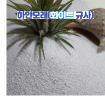 CF무균 하얀 규사모래80kg 호주 청정 자연규사 어린이모래놀이 인체무해 실내조경및인테리어 화분장식및테라리움 원예용
