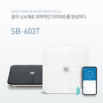 아이리버 스마트체중계 SB-603T, 그레이