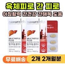 육체 피로 피로감 무기력 피곤할때 먹는 영양제 추천 간기능 개선 간보호제 간건강 간영양제 간에좋은 밀크시술 밀크씨술 몸이 무거울때 피로할때 개선제 신경성 복부 위장통 통증 간