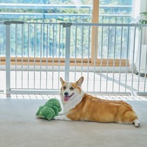 리포소 강아지 안전문 울타리 펫도어, 안전문(본품)
