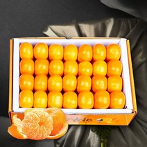 [보섭이네푸드]가락시장 직송 유명산지 하우스감귤 5kg 40과내, 없음, 상세설명 참조