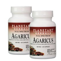 플랜터리 허벌 아가리쿠스버섯 추출물 500mg 60정 Planetary Herbals Agaricus, 2개