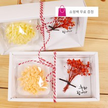 미세스라라 국화꽃비누(1ea)+플라워카드(소) 선물세트, 3)프리저브드(오렌지) 선물세트, 1세트