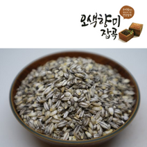 [KT알파쇼핑][산지직송100%] 무농약 해남 검정통보리 1kg, 단일상품_농산물 중량_상세페이지참조