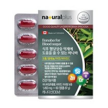 내츄럴플러스 바나바잎 추출물 혈당 상승 억제 도움 60정 1박스 2개월분