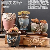 다육화분 다육이 심폴 화분 식물 미니 화분세트, 도자기, 옵션64