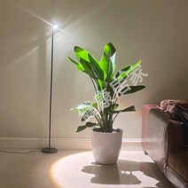 식캉스 LED 식물등 집에서할수있는취미 전구 생장 가드닝 희귀 음지식물 새싹삼 바형 로즈마리키우는법 상추키우기, 1.6미터 플로어 램프[따뜻한 노란색 빛]