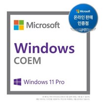 윈도우 11 프로 64bit DSP 한글 설치 제품키, windows 11 pro dsp