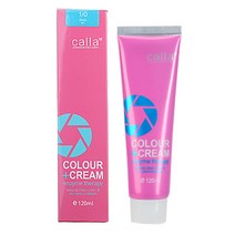 엘르 칼라 업 컬러크림 120ml(1제 5개당 산화제 1개 발송), 1/0 다크블랙
