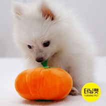 [터닝펫] [당일출고] 강아지 삑삑이 단호박 봉제인형 /반려동물 청각자극 장난감, 1개